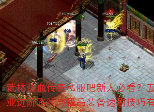 武林热血传奇私服吧新人必看？五大职业进阶路线与极品装备速刷技巧有哪些